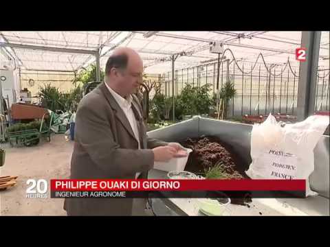 Polyter JournalTV France2 du 16 mai 2016